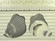before and after 1 - shell rock