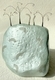 band rock 29 (spring)