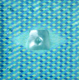 water bellies 2 - afloat