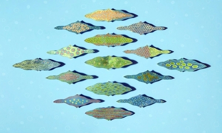 water bellies 4 - deep see